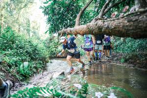 BIB: 
                            <button type="button" onclick="openModal(25476854)" class="btn btn-primary btn-sm float-right btn-popup" data-toggle="modal" data-target=".modal-high-quality">
                        <i class="fas fa-shopping-cart"></i> Add to Cart
                    </button>
                                            <button type="button" onclick="isThisMe(25476854, true)" class="btn btn-success btn-sm float-right btn-popup btn-isme hidden" data-toggle="tooltip" data-placement="bottom" title="นี่คือรูปของคุณใช่ไหม คลิกที่นี่เพื่อเอาเข้าอัลบั้ม">
                        <i class="fas fa-plus"></i> Add to album
                    </button>
                    <button type="button" onclick="isThisMe(25476854, false)" class="btn btn-warning btn-sm float-right btn-popup btn-isnotme hidden">
                        <i class="fas fa-ban"></i> Remove from album
                    </button>